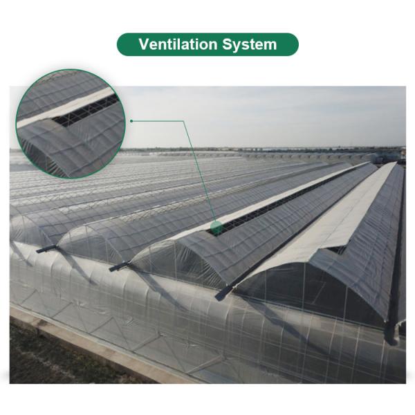 Система отопления воды Корейский режим Фильм Сельскохозяйственные теплицы для круглогодичного земледелия