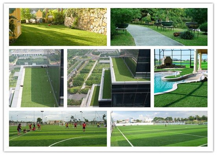 PE Monofliment Yarn Cricket Pitch Grass Artificial Synthetic Turf Natural and soft
