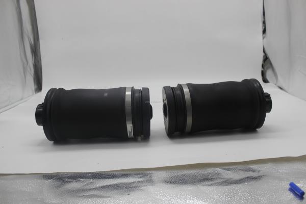 Auto Parts Rear Air Suspension Spring Bag 1663200325 for Mercedes W164 W166