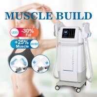 13 Tesla ems sculpting Machine Muscle Electromagnetic Iso9001