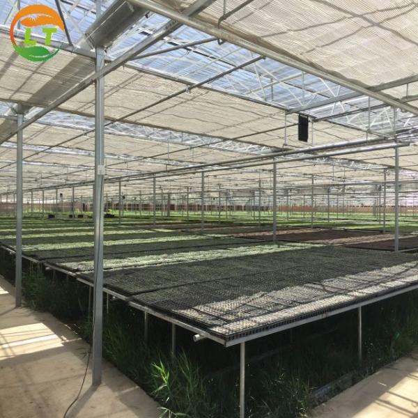 Multi-Span Agricultural Greenhouses with Hot Galvanized Steel Transparent Solar Panels