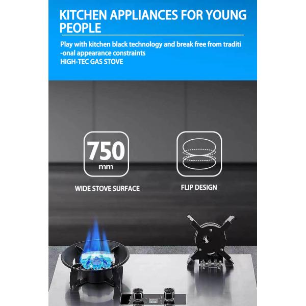 Tempered Surface Wok Burner Stand Burner Cooker Gas Stove for Restaurant