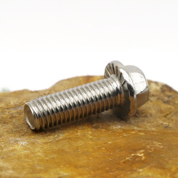 Stainless steel Hexagonal Flange Bolt