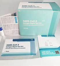 Coronavirus Fast Check Antibody Saliva Antigen Test Kit Malaysia