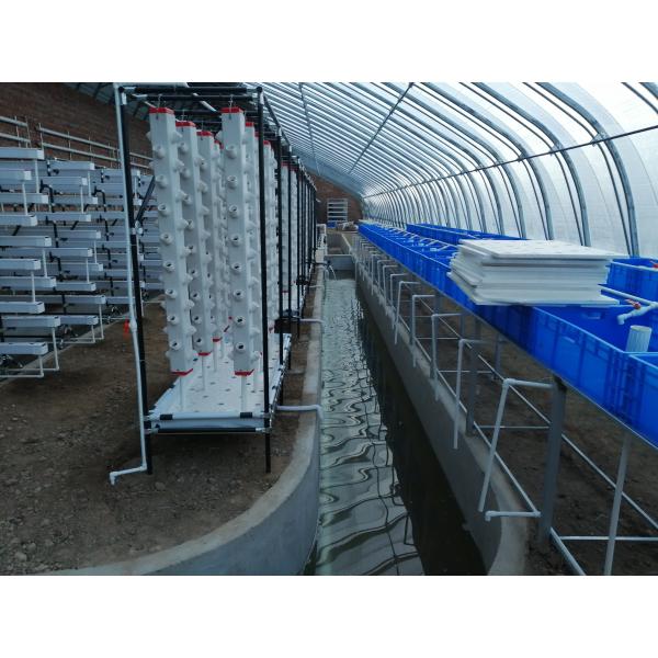 Aquaponics Greenhouse Hydroponics Growing System Fish Tank For Fish And Vegetable