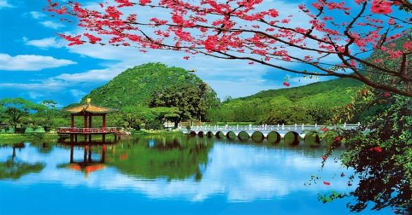 Wholesale Customized 3d lenticular picture 3D flip printing PP plastic picture 3D lenticular printing