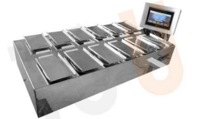 Escala da combinação da máquina de empacotamento das frutas e legumes do controle 10WPM de MCU