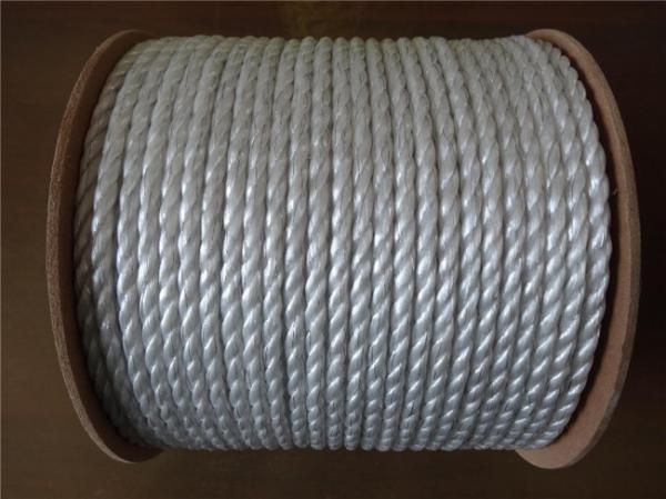 Animal de Wire Ss 0.3mm da cerca da vaca de Muliticolor 6mm que cerca o fio