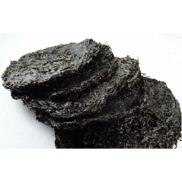 Porphyra Seaweed Porphyra Haitanensis  SEAWEED