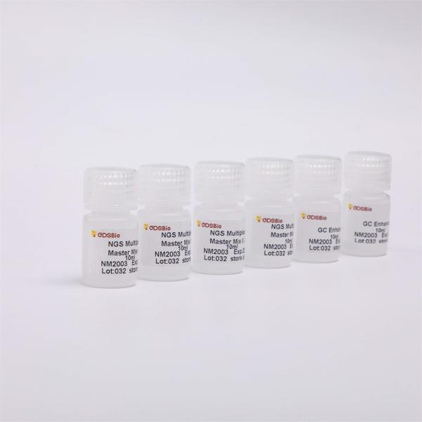 2X NGS Library Construction Multiplex PCR Master Mix 2000 Reactions