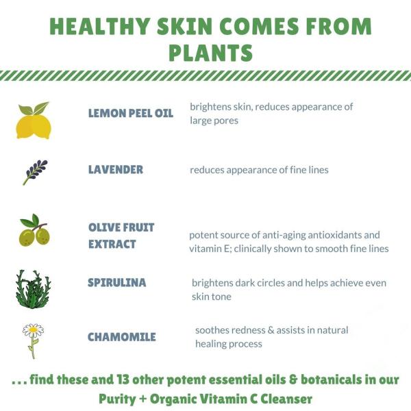 Мытье стороны органического витамина К глубокое очищая для выдержек маслообразной кожи ботанических