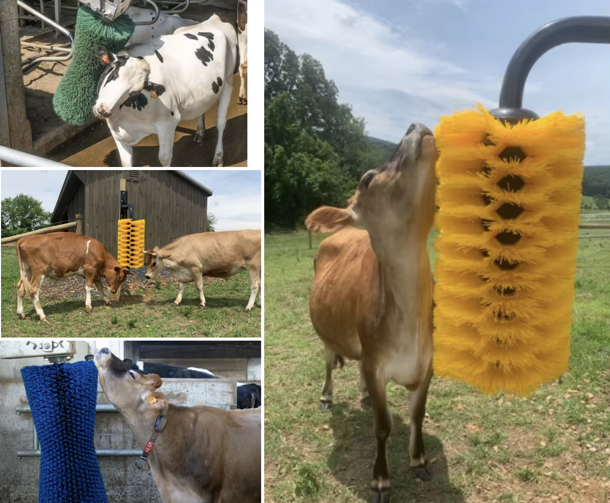 Automatic Rotatable Cow Body Brush with 100W Motor Power and 50*60cm Size for Livestock Massage and Grooming