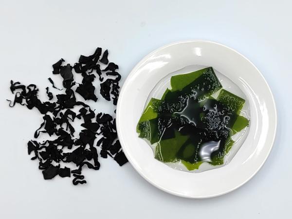 Organic Wakame Delight: Tender Texture, Lush Green – Perfect for Homemade Dressings and Salads