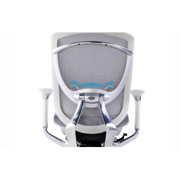 IFIT Black Ergonomic Desk Chair With Lumbar Support Adjustable Tilting Mesh Swivel