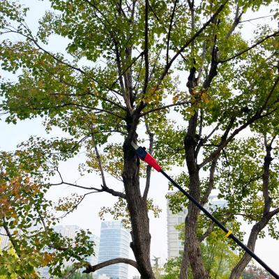 Telescopic Extension Pole Chainsaw Battery Powered Adjustable From 180cm To 300cm