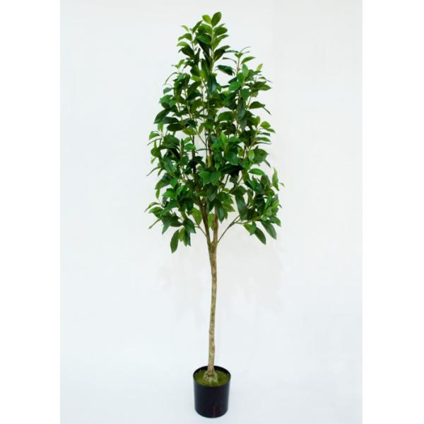 150cm Artificial Decorative Trees Pachira Macrocarpa Plant Custom Design
