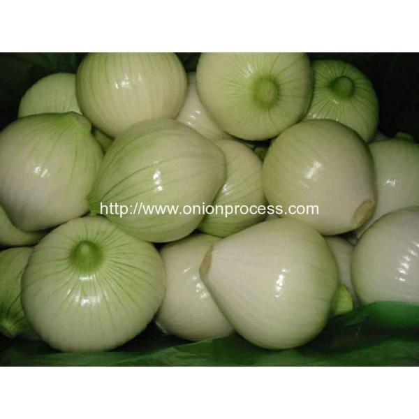 Onion Peeling and Root Cutting Processing Line