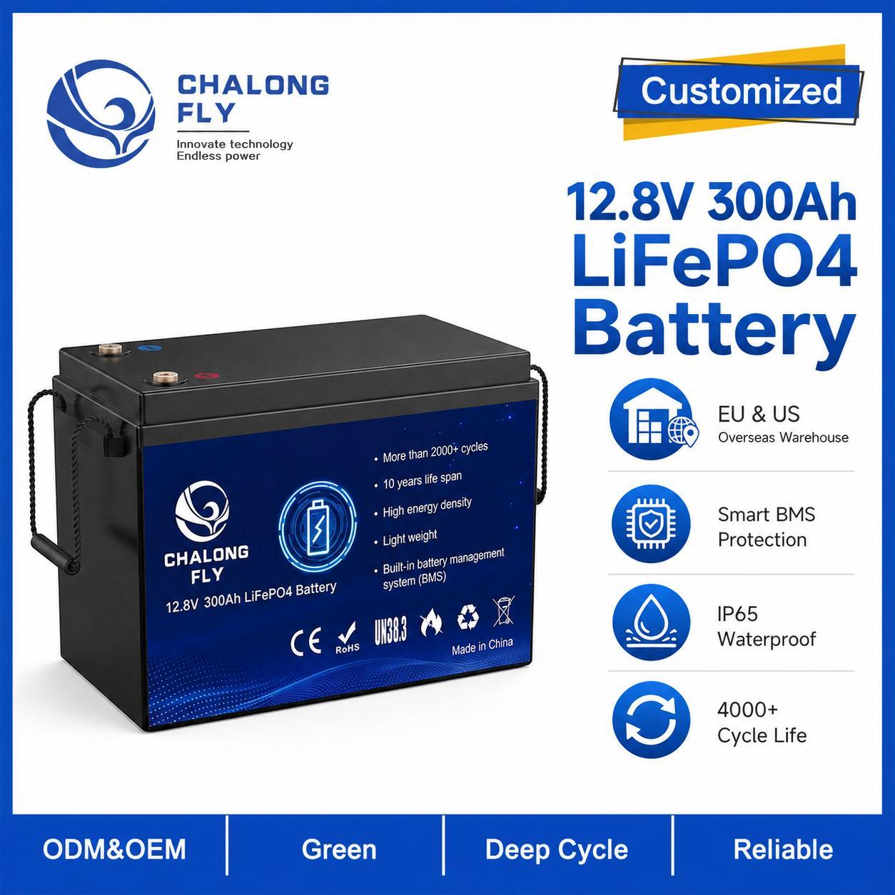 Custom 12.8V 314Ah LiFePO4 Battery Pack with BMS for Portable Power and Solar Storage