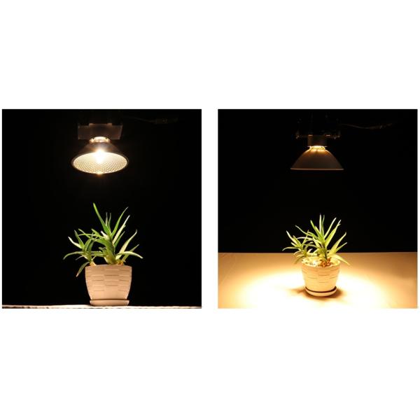 Спектр 265VAC 100Hz полный растет освещение светов CMH 150W приведенное 100Hz