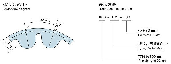 Rubber Timing Belt Power Transmission Belts Type 3M 5M 8M 14M 20M