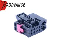 8Z0972701 10 Pin Feminino 1.5 6.3 Série de bomba de combustível Conector de cabo de fio para VW Audi Passat