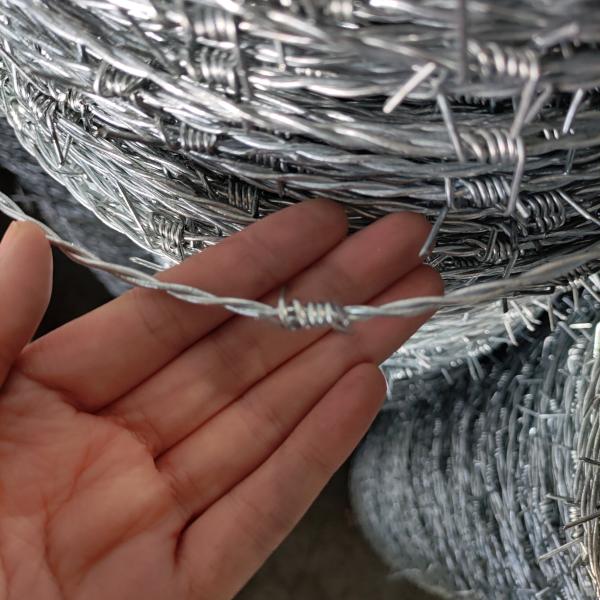 Провод колючки изготовления Китая оптовый в загородке цены крена колючей проволоки Шри-Ланка горячей окунутой гальванизированной