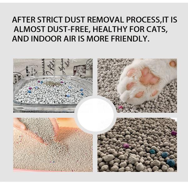 Odor Control Dust-Free Arena Para Gatos Nala Premium High Absorbency Pet Products Multi-Cat Bentonite Cat Litter