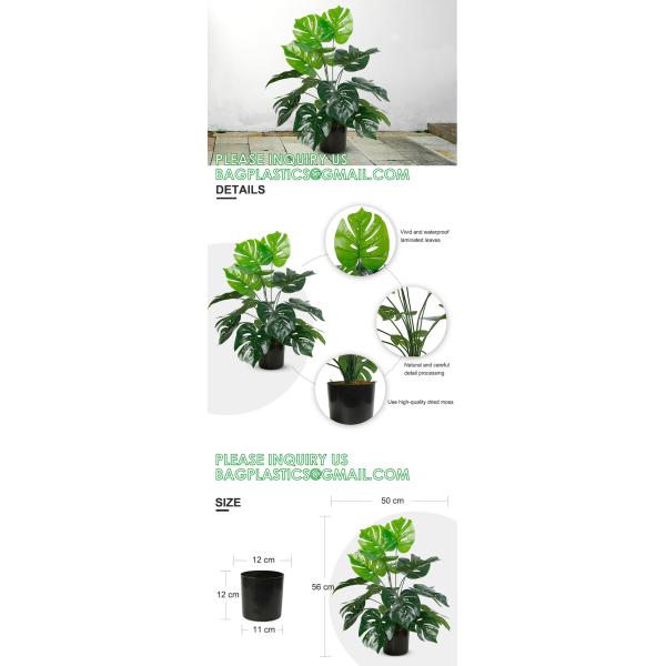 Fake Plants 16