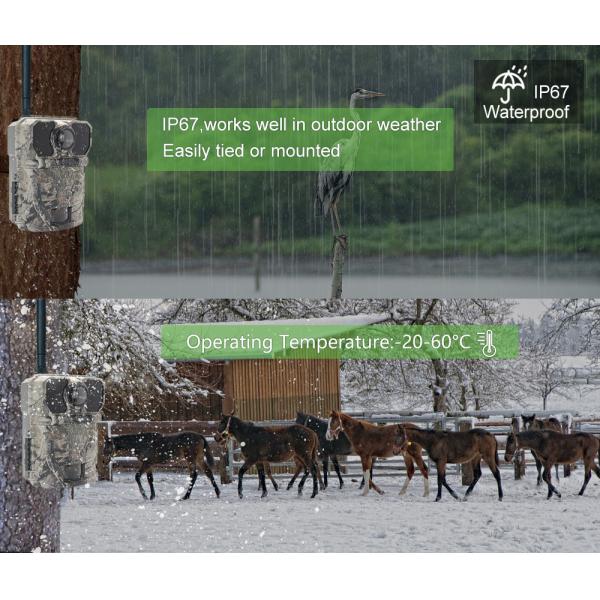 Камера CMOS следа живой природы GSM MMS на открытом воздухе камуфлирует 30MP 4G 1080P охотясь камера