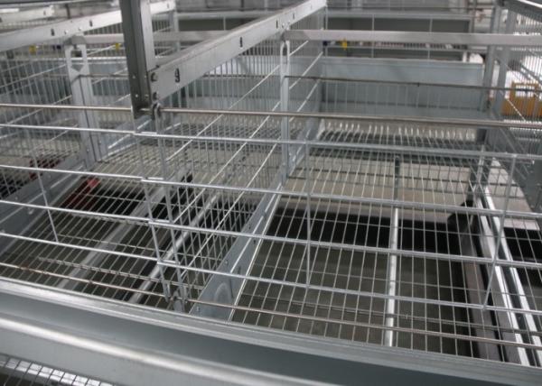 Poultry Chicken Battery Cages / Chicken Farm Tools 120 Birds Capacity