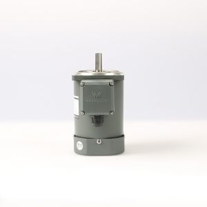 IP44 750W 22Nm AC Gear Motor Without Brake