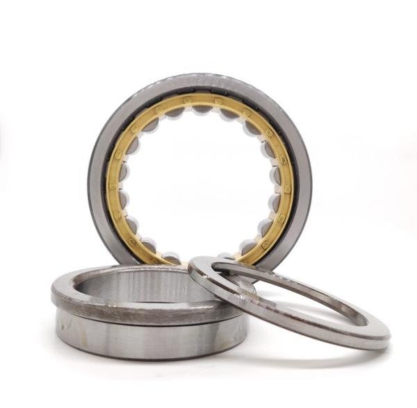 Single Row Full Complement Cylindrical Roller Bearing NJ 203-NJ 216