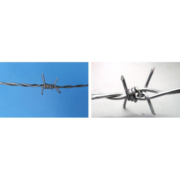 Boundary Wall Galvanized Steel Barbed Wire 12*14 Gauge