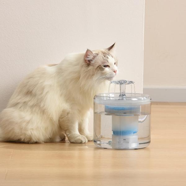 Low Voltage Plastic Pet Water Dispensers Automatic Circulating For Dogs And Cats
