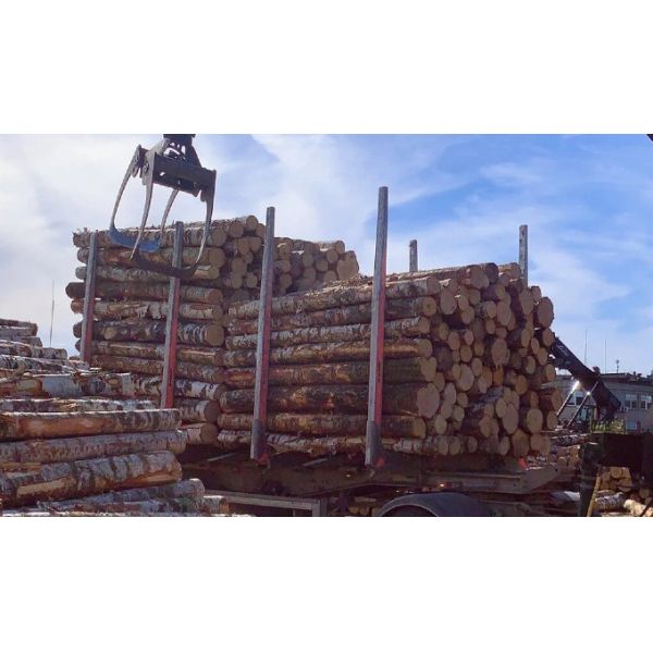 Mudanjiang Shuntong Environmental Protection Technology Co., Ltd.