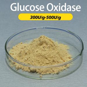 Échantillon de préparation de l'enzyme oxydase de glucose jaune en poudre