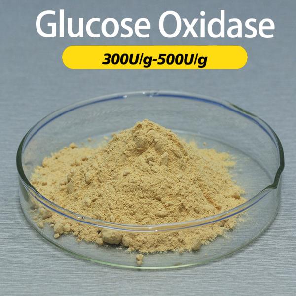 Échantillon de préparation de l'enzyme oxydase de glucose jaune en poudre