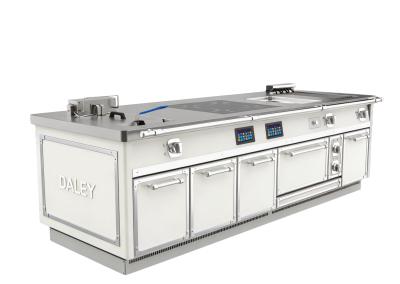 Intergrated Island Cooker