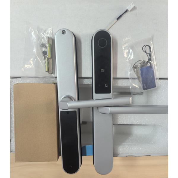 Painted Finish Smart Gate Lock Card / Code / Fingerprint / APP / Bluetooth / WiFi for apartments