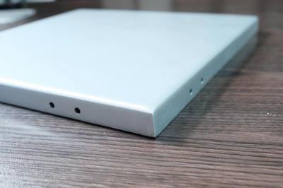 Custom Flat Aluminum Veneer Panel ACP Ceiling Panels