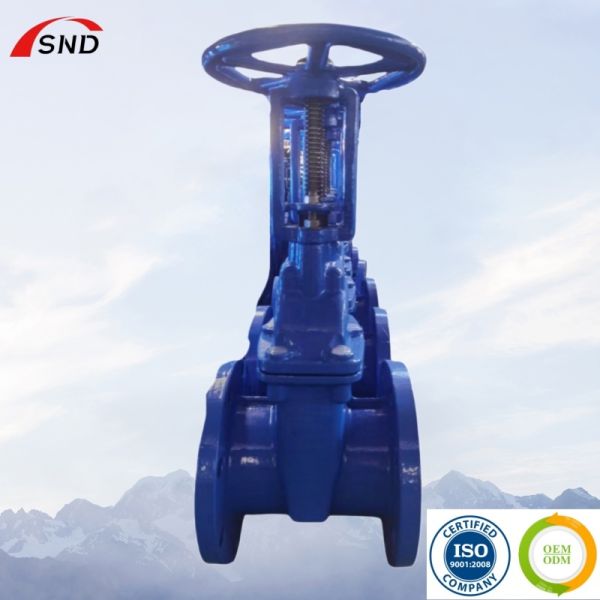 Class 150-1500 Pressure Tating Gate Valve Featuring Flange Connection and Dust Proof Gasket EPDM NBR for Fluid Control