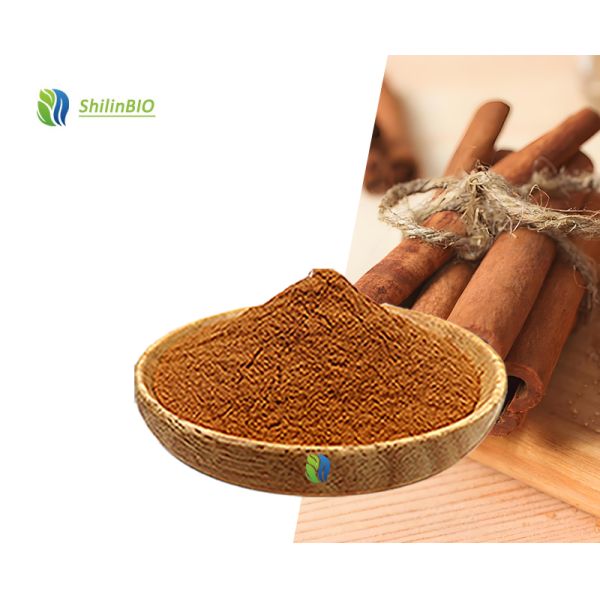 High Quality 100% Pure Ceylon Cinnamon Powder Food Grade Pure Ceylon Cinnamon Powder