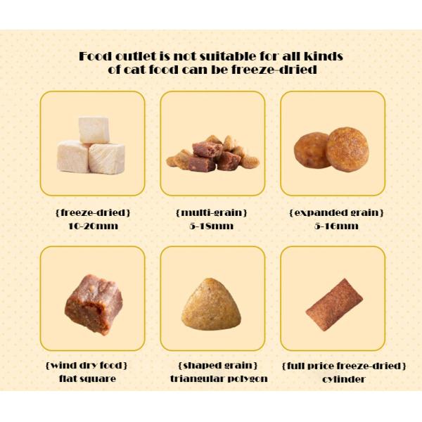 Small to Large Dog Water Dispenser with Automatic Feeder and Water Bowl Battery Operated