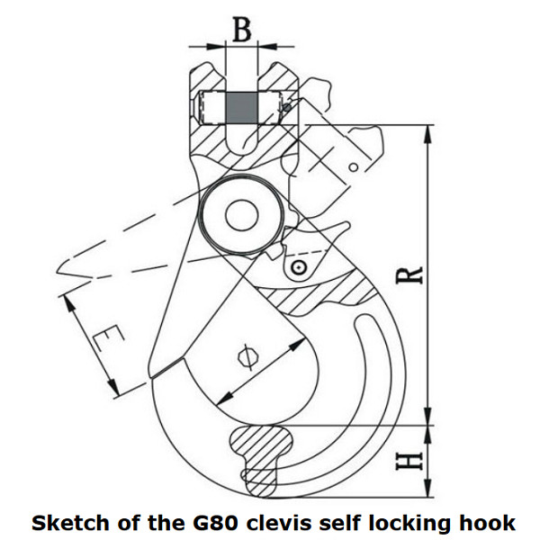 собственная личность глаза Clevis 6mm до 32mm запирая крюк для того чтобы оцинковывать покрытое G80
