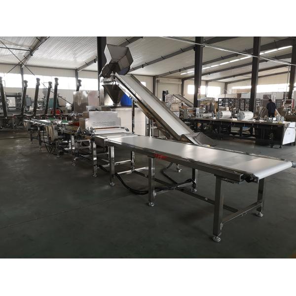 Automatic Pet chewing Auto Meat Strips Dog Treats Processing Line