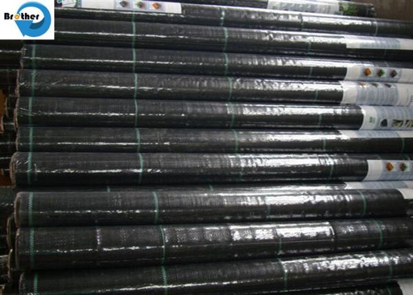 Agriculture Polypropylene/Polyethylene Woven Geotextile Fabric for Ground Cover Weed Control Mat Barrier