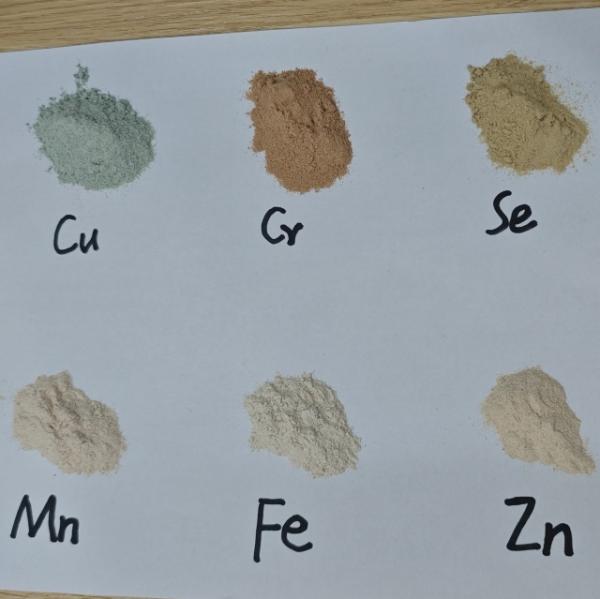 Green Powder 20% Copper Proteinate Fermentation Powder for Animal Feed Additive