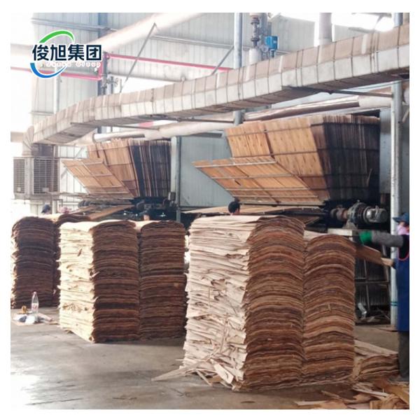  Customized Wood Veneer Drying Equipment 20-50 Cubic Meters