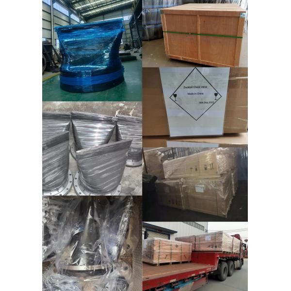 DN300mm Flanged Duckbill Check Valve PN10 Stainless Rubber Duckbill Valve