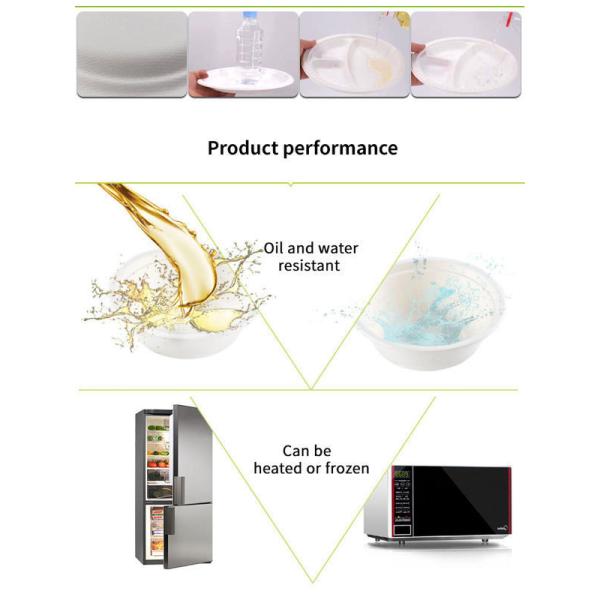 OEM Disposable Food Packaging Containers FSC Sugarcane Disposable Bowl Plates